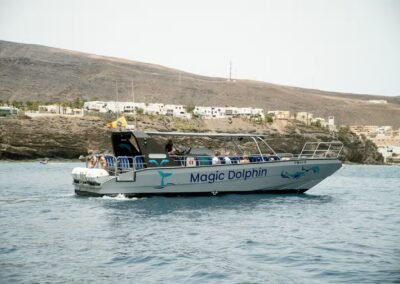 Whale and dolphin watching in Morro Jable