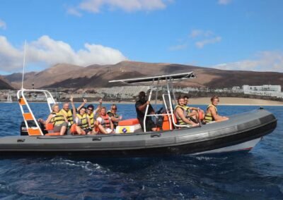 Whale watching by speedboat + Snorkeling
