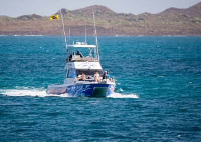 Katamaranfahrt mit Wal- und Delfinbeobachtung ab Corralejo