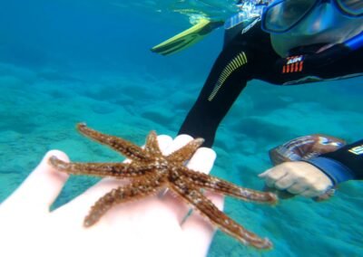 Île de Lobos (Fuerteventura) – Snorkeling