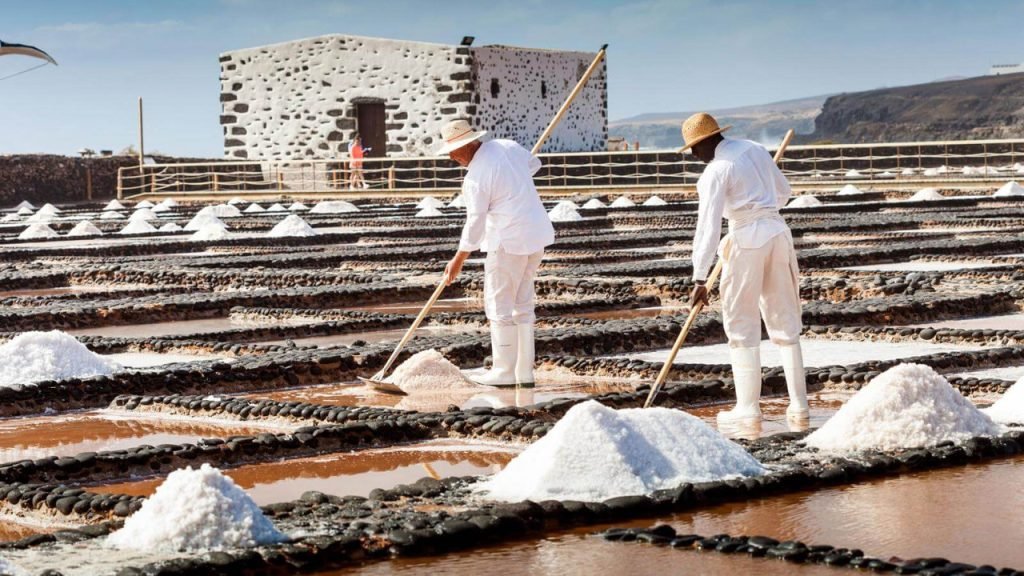 Saline del Carmen